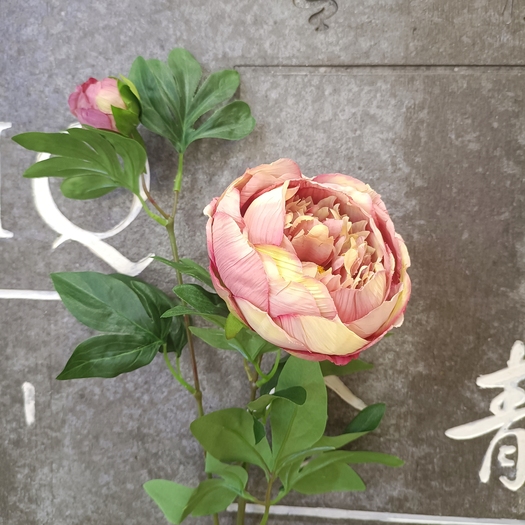 Bean paste color 2 head bud heart peony