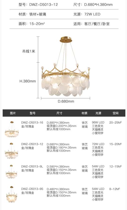 9-head post-modern ironwork spray-painted frosted chandelier 5013-9 details Picture