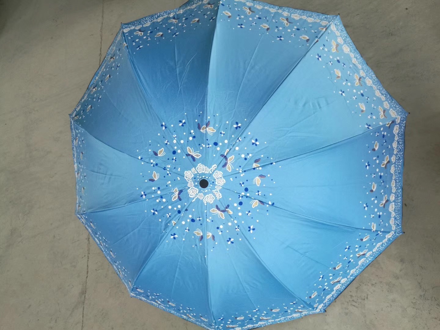 雨伞产品图