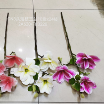 Artificial plant rattan wall hanging bundle wedding video tree model bonsai potted single branch leaf tree Magnolia 17