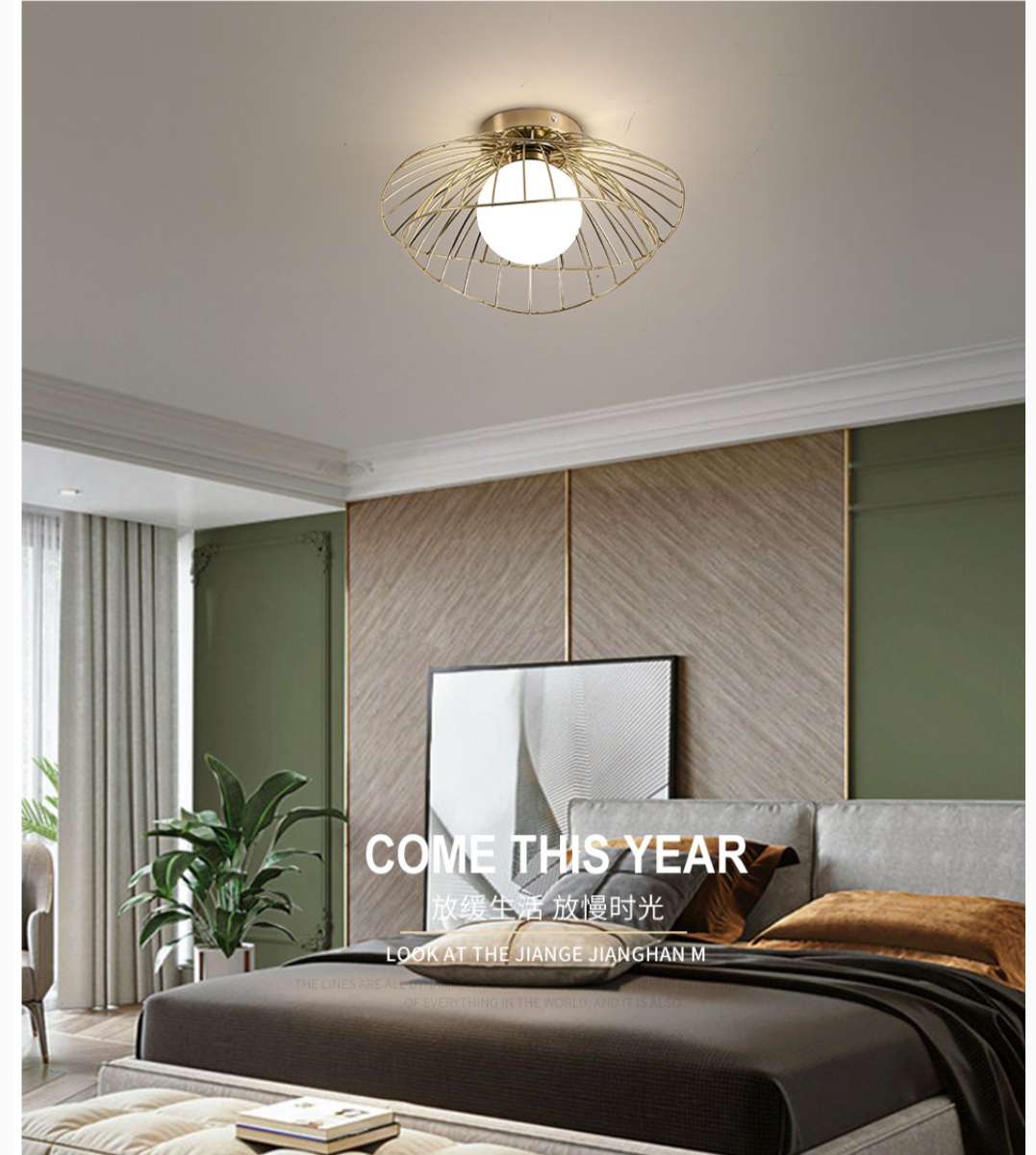 AB030 Ironwork corridor entrance hall spray-painted frosted modern and simple ceiling lamp Specification image