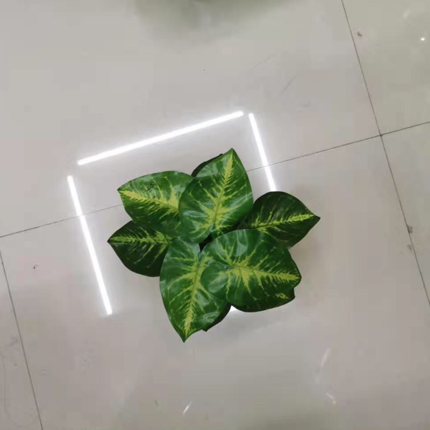 بونج 5