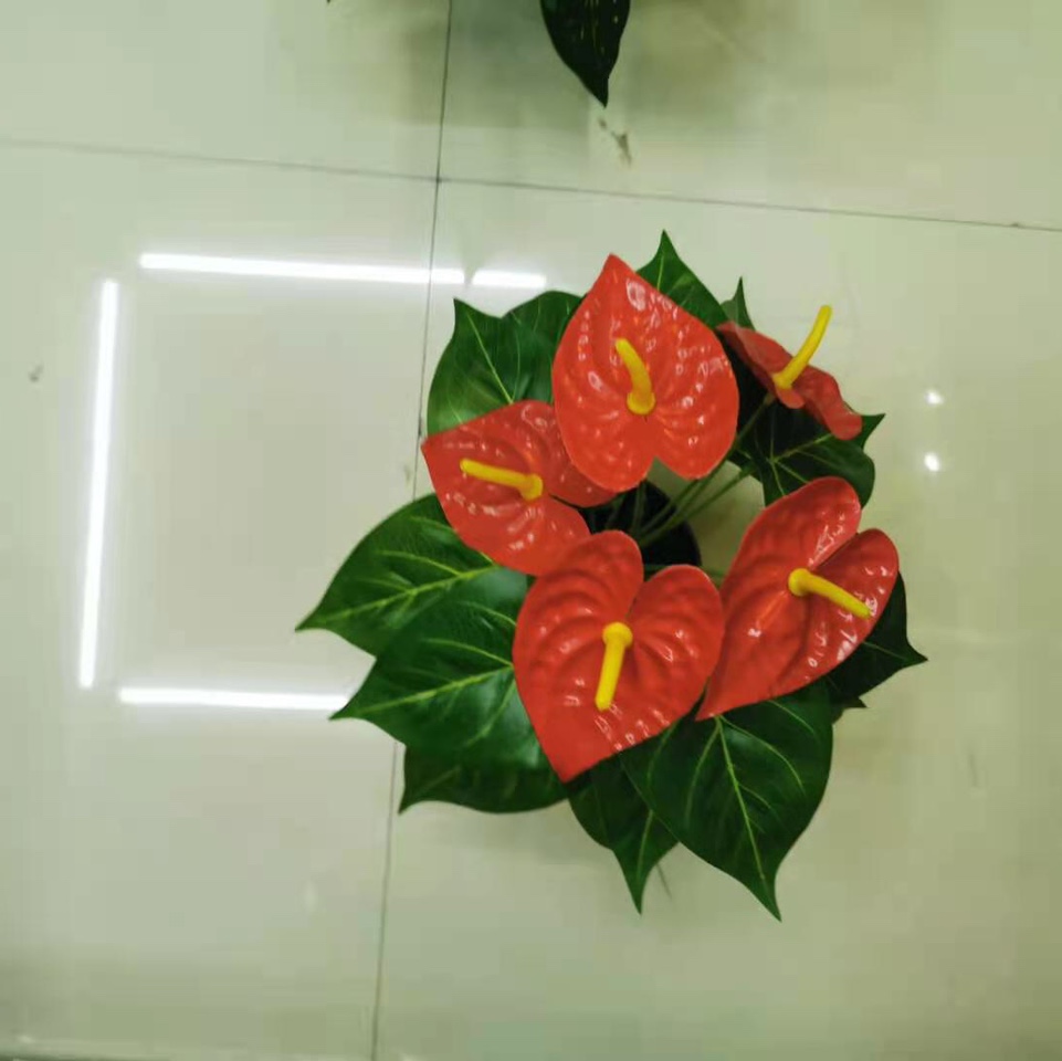 Bonsai 14