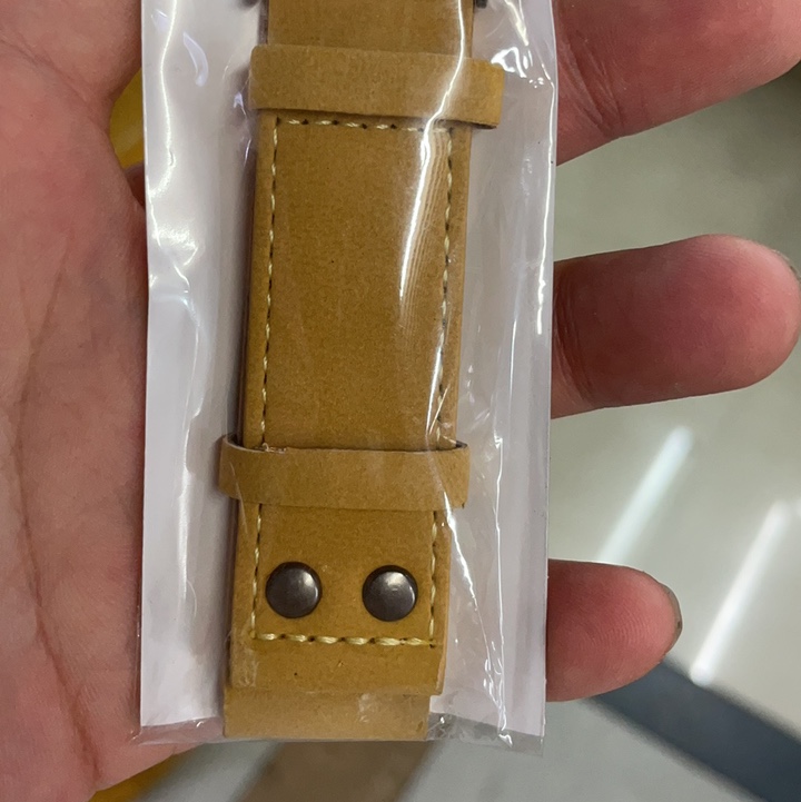双钉皮带