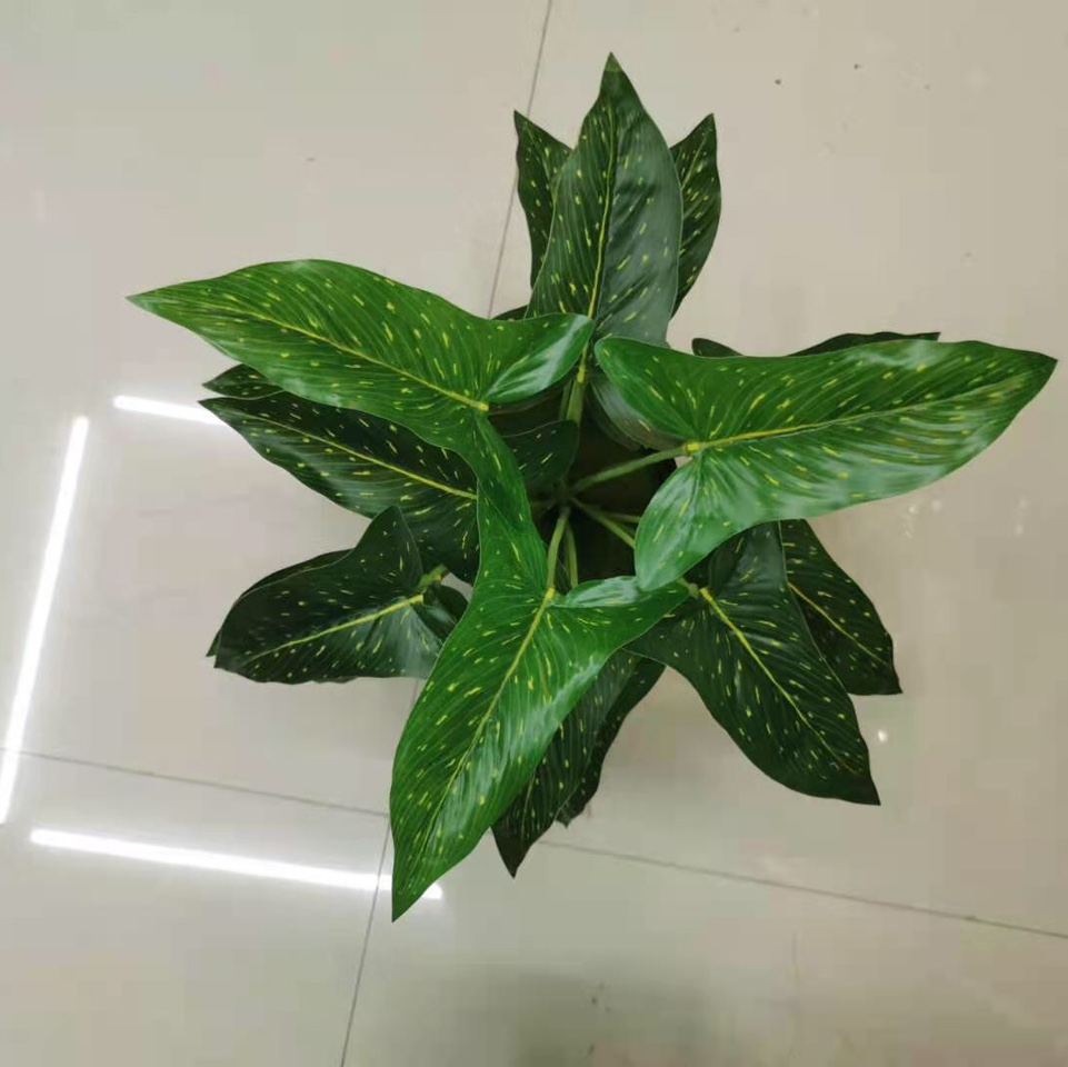 بونج 13