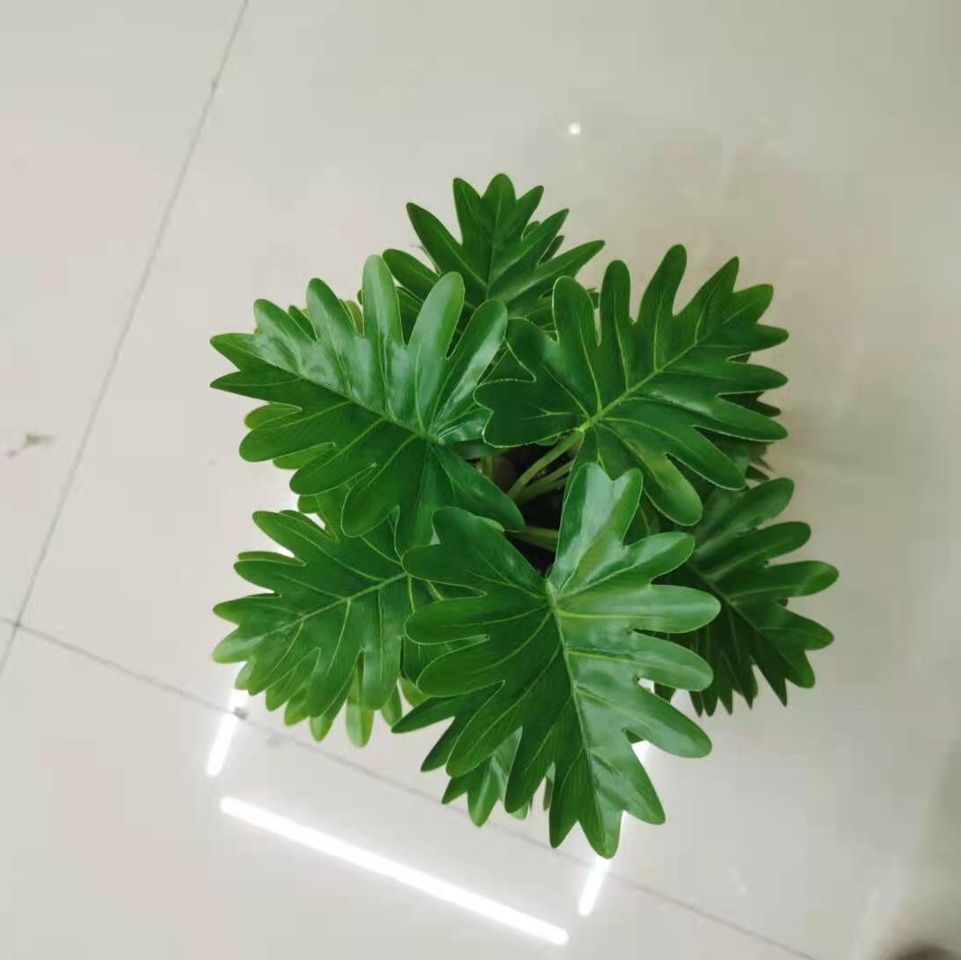 بونج 15