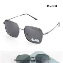 I wish Yiwu Commodity City's first spectacles a complete success show glasses polarizer 663