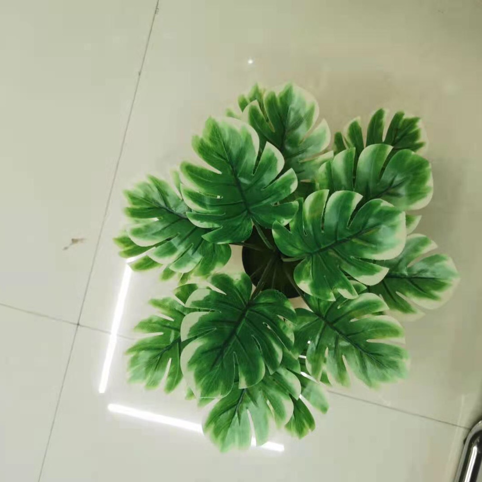 بونج 16