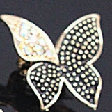 Brooch 1631