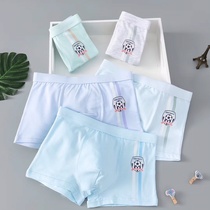 Children's briefs RC Cotton student briefs Soft, comfortable and breathable Boys' flat Angle Dillegar 8873#