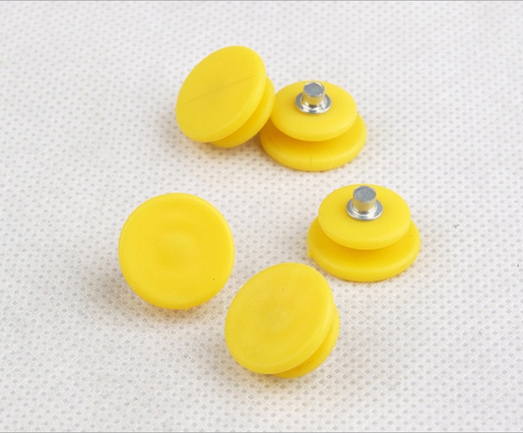 Crampons Accessories 10 Teeth 5 Teeth Steel Nails 24 Teeth Webbing Tpe.pp Material Variety Complete Outdoor Shoe Cover Factory
 details Picture