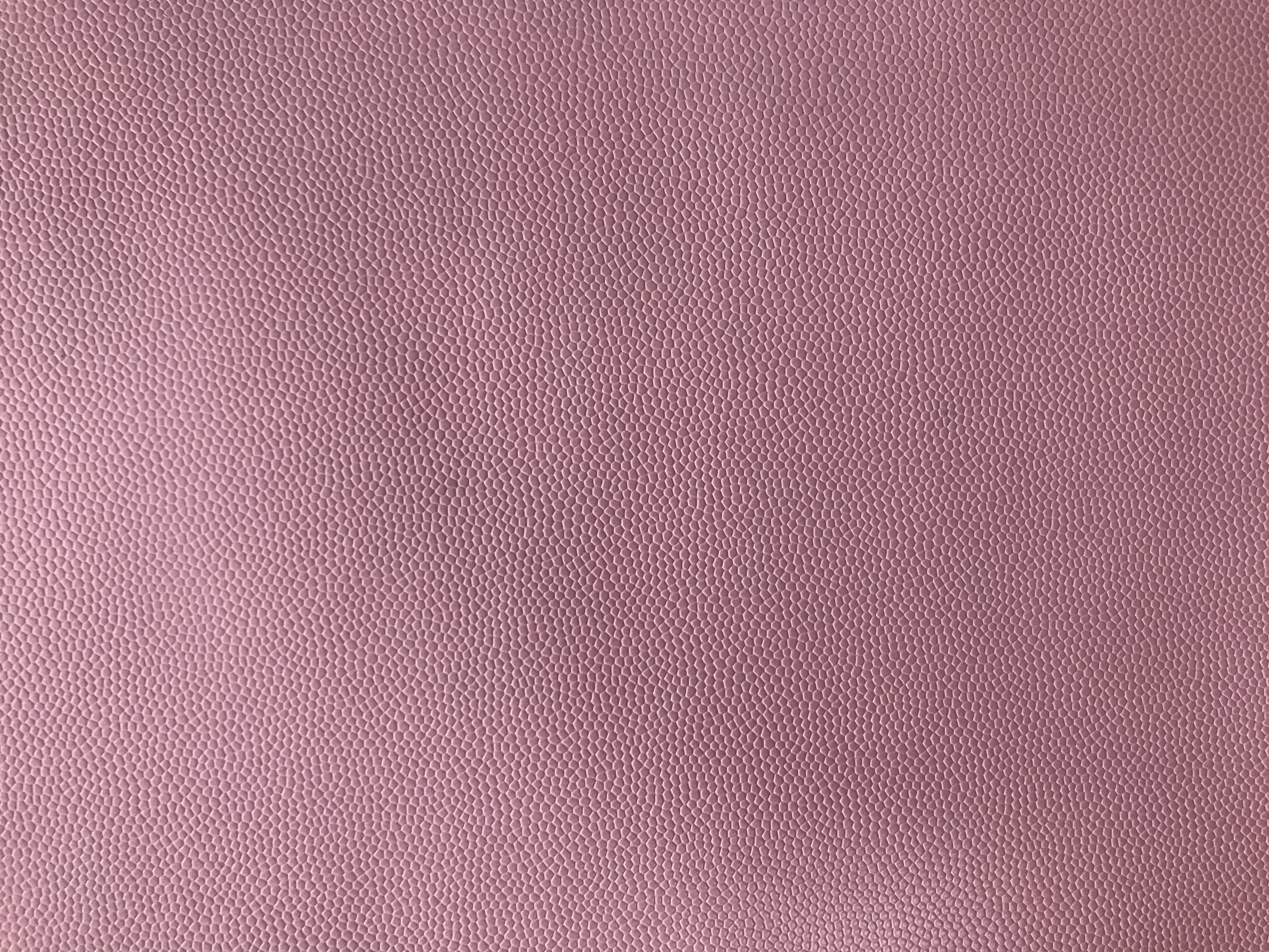 KF348珍珠鱼产品图