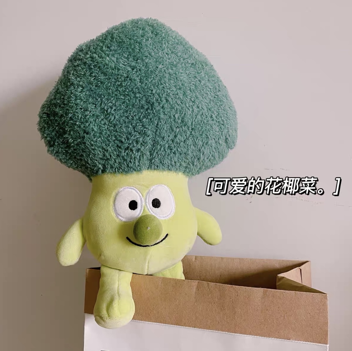 Cute vegetable doll Broccoli carrot throw pillow plush toy doll Broccoli Rag Doll birthday gift 23
