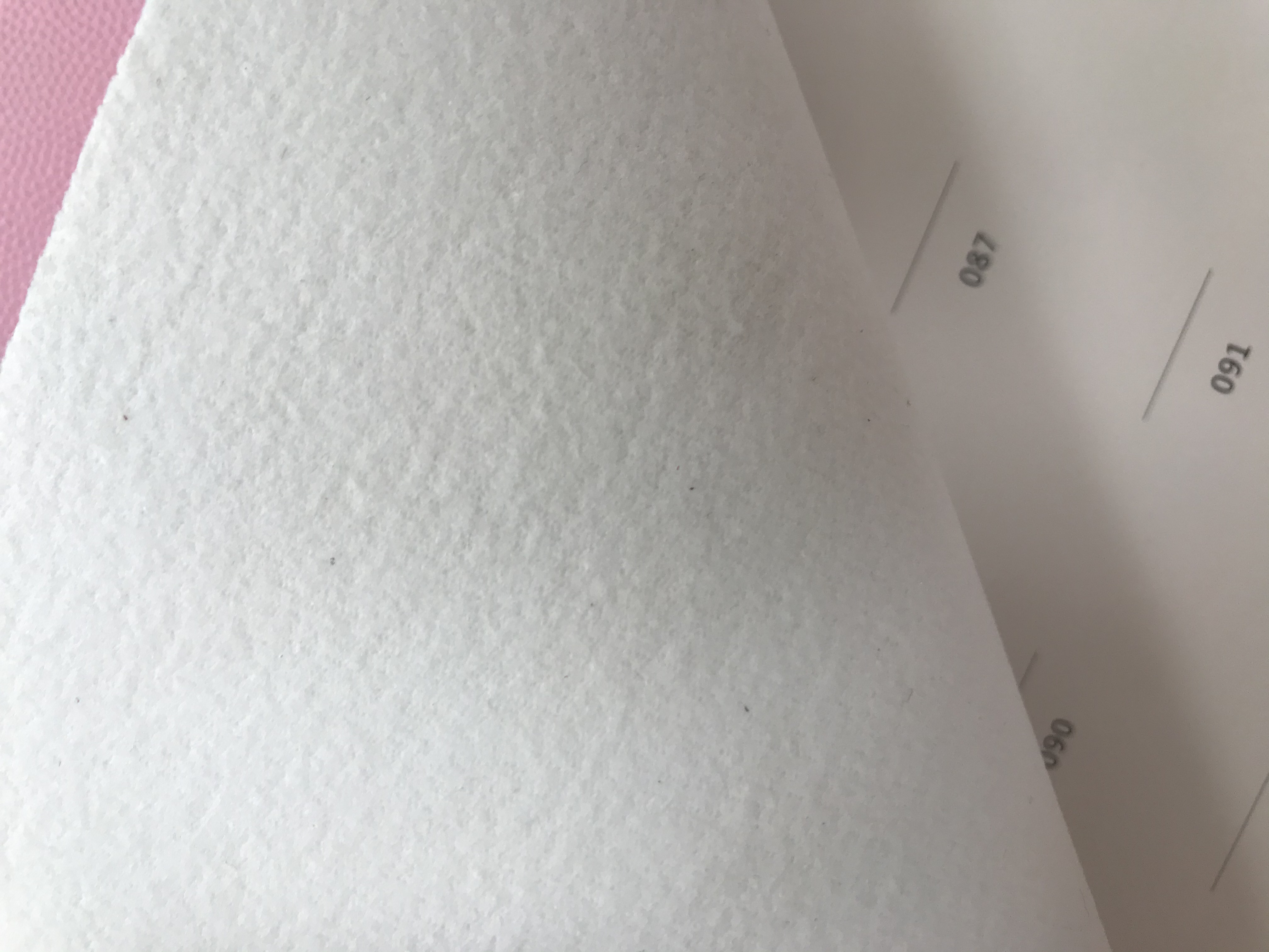 KF348珍珠鱼细节图