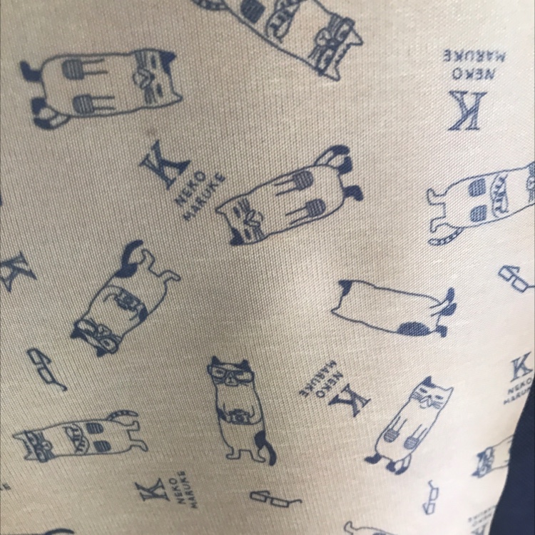 210D Oxford Cloth Glasses With Cat Print details Picture