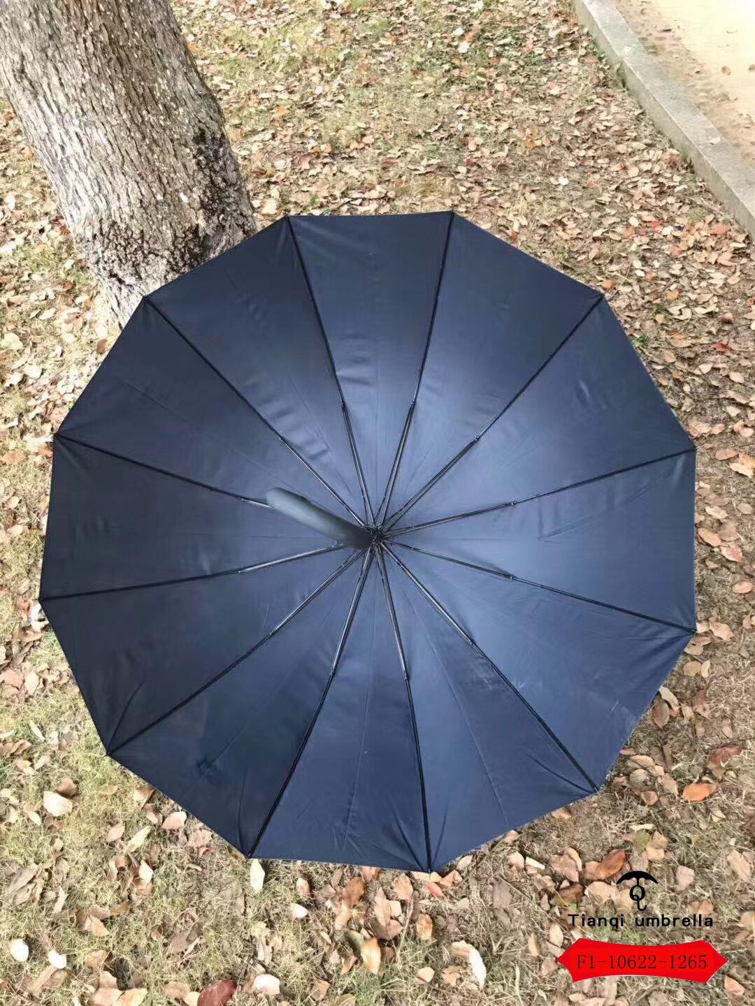 天堂晴雨伞F-1-10622-1265直杆纤维抗风大伞面商务两用超强防晒防雨轻便出行必备详情2