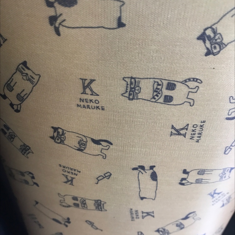 210D Oxford Cloth Glasses With Cat Print Specification drawing
