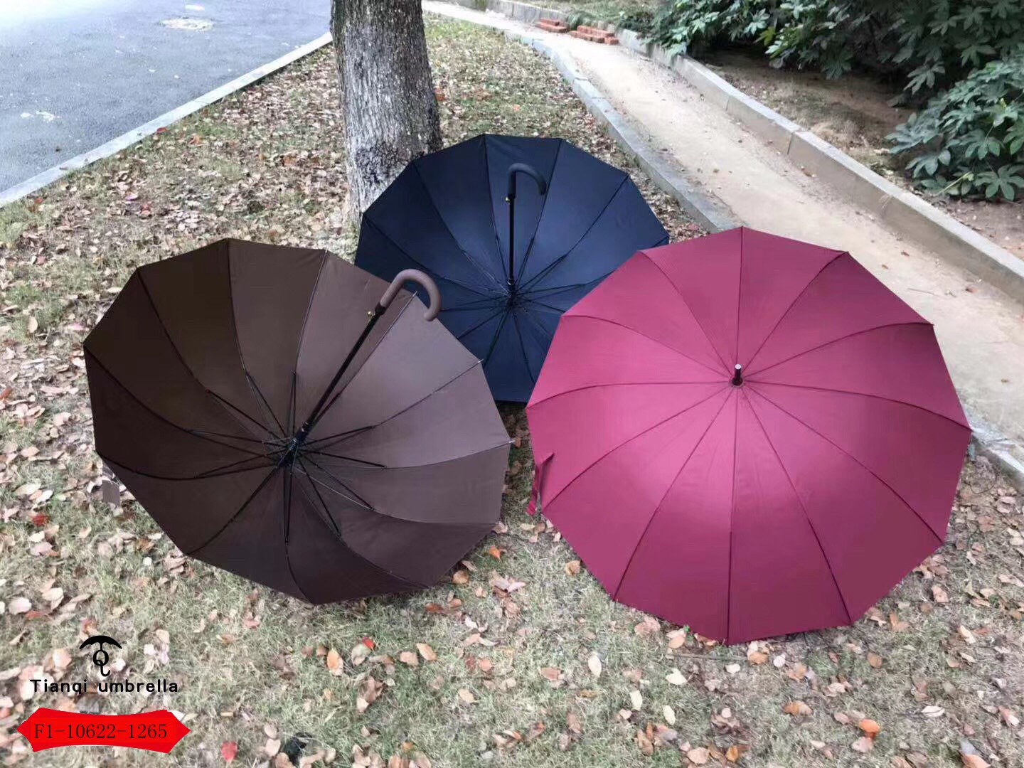晴雨伞实物图