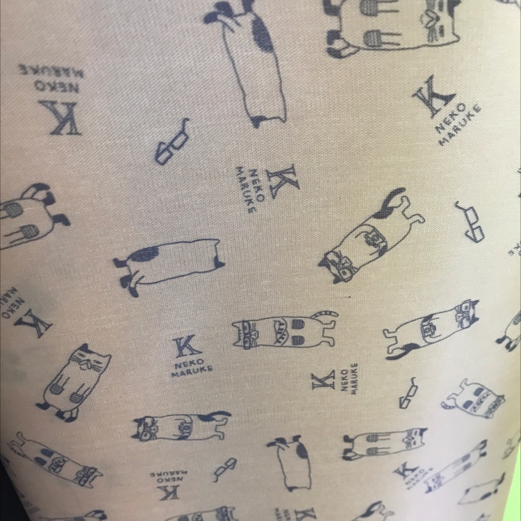 210D Oxford Cloth Glasses With Cat Print Application Scenario