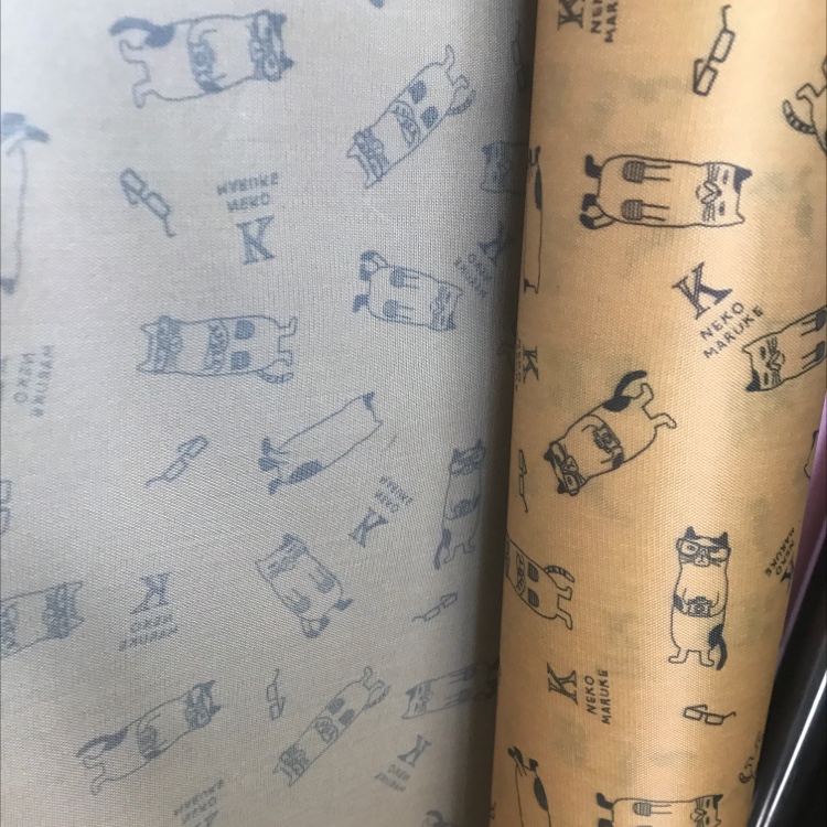 210D Oxford Cloth Glasses With Cat Print Application Scenario