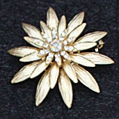 Brooch 1988