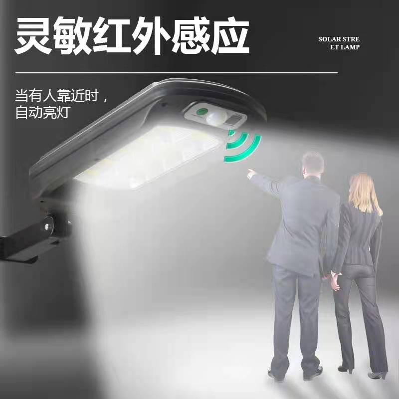 1984B太阳能小路灯白底实物图