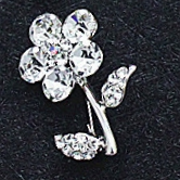 Brooch 1981
