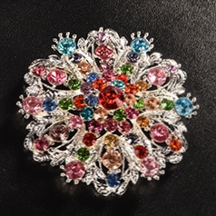 Brooch 2024