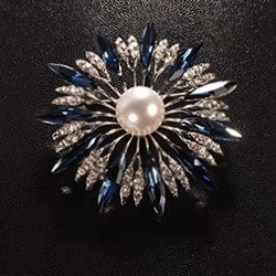 Brooch 2027