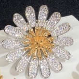 Brooch 2009