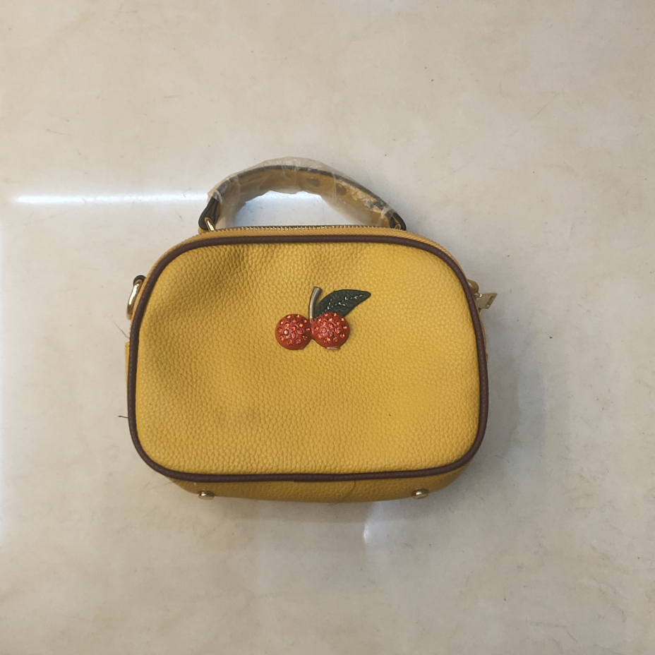 Hand-held crossbody bag 2