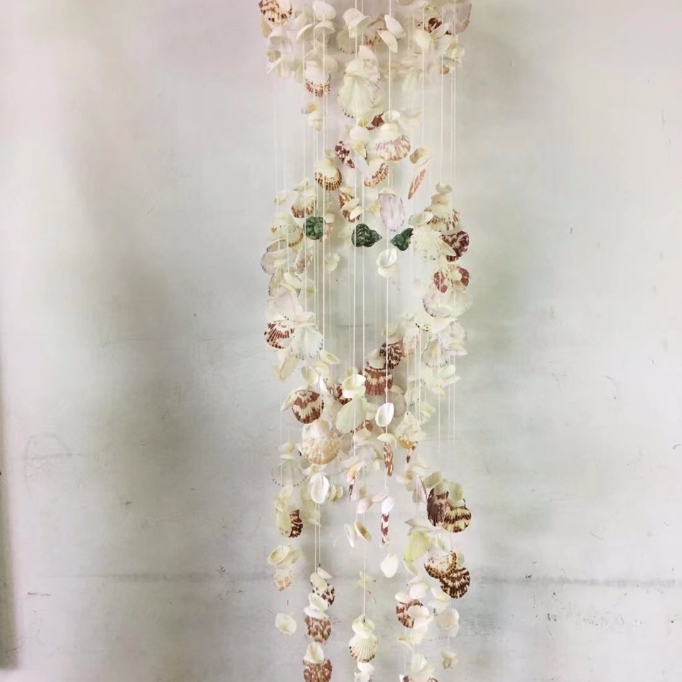 花贝风铃天然贝壳海螺壳海星装饰鱼缸造景婚庆卷贝鱼寄巨蟹