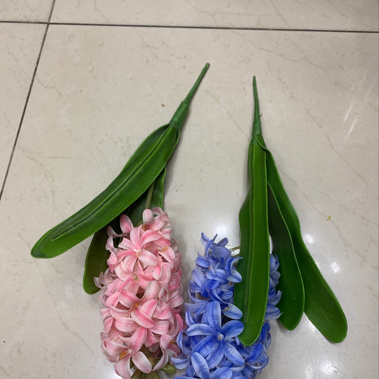 单支风信子