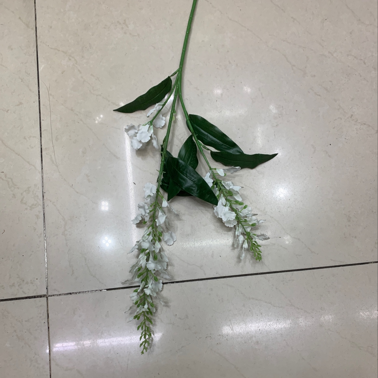 单支风信子白色