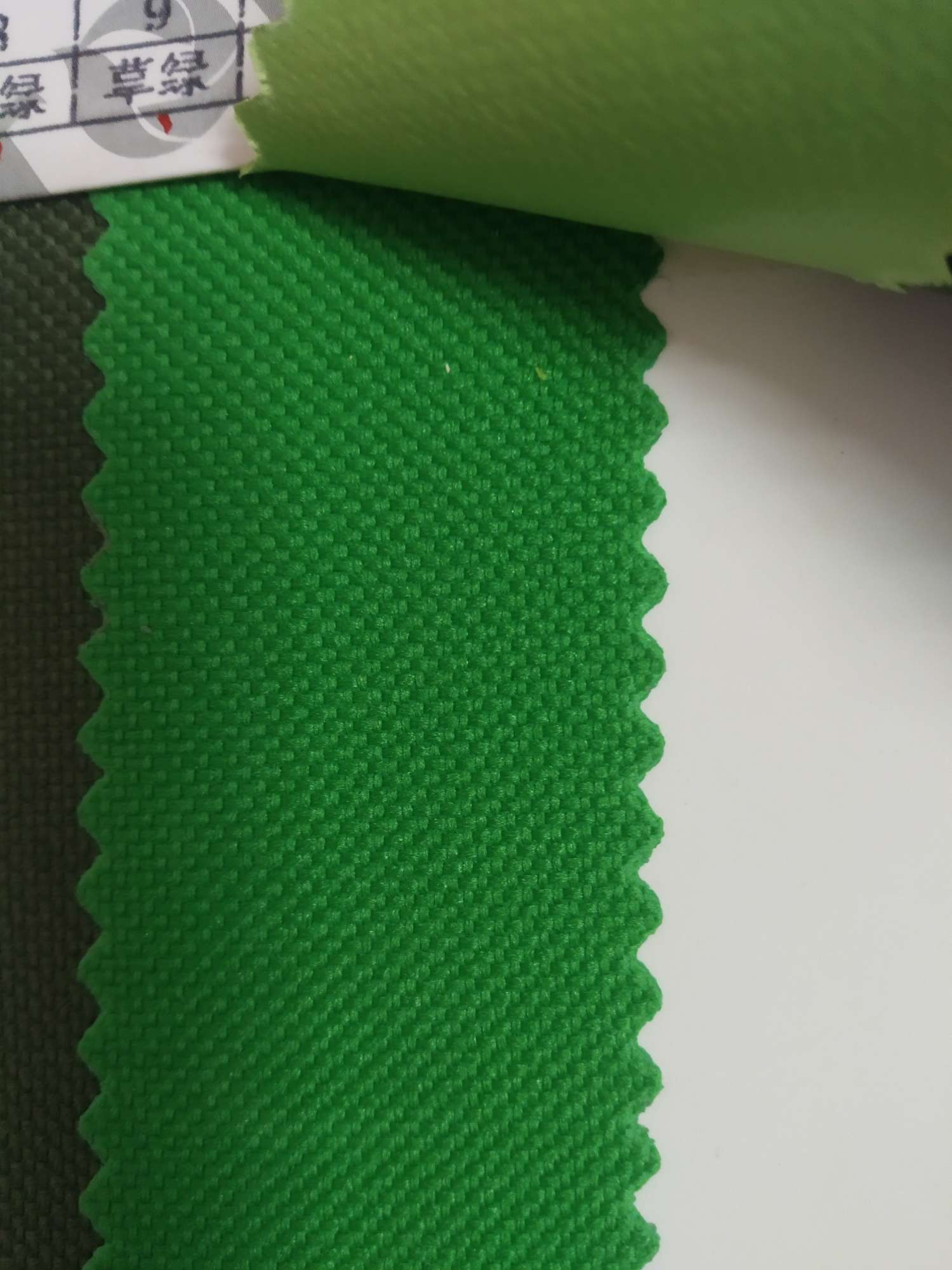 TY-- 003 600D3*4 Plain Weave 9# Grass green Item Picture