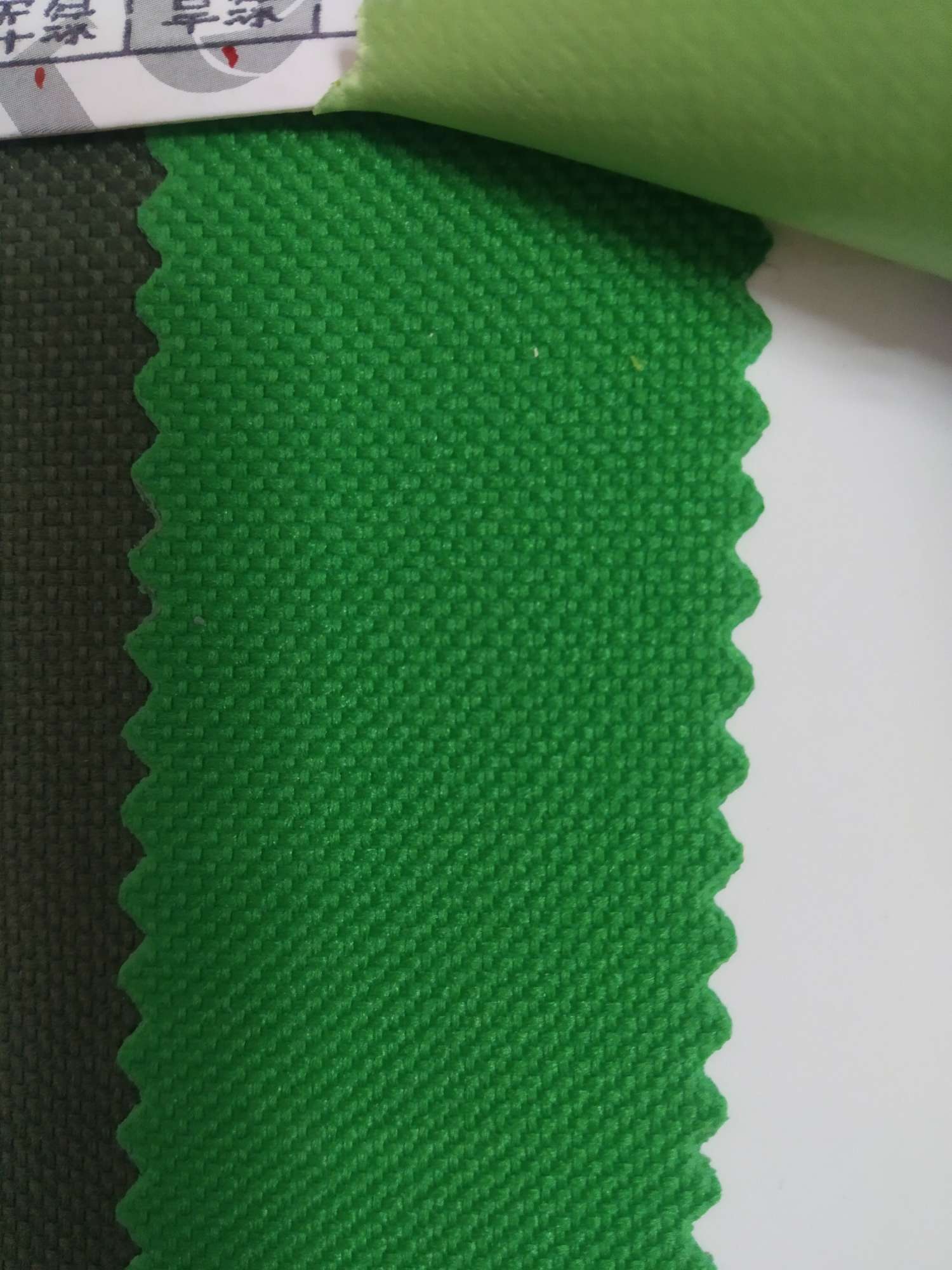 TY-- 003 600D3*4 Plain Weave 9# Grass green Application Scenario