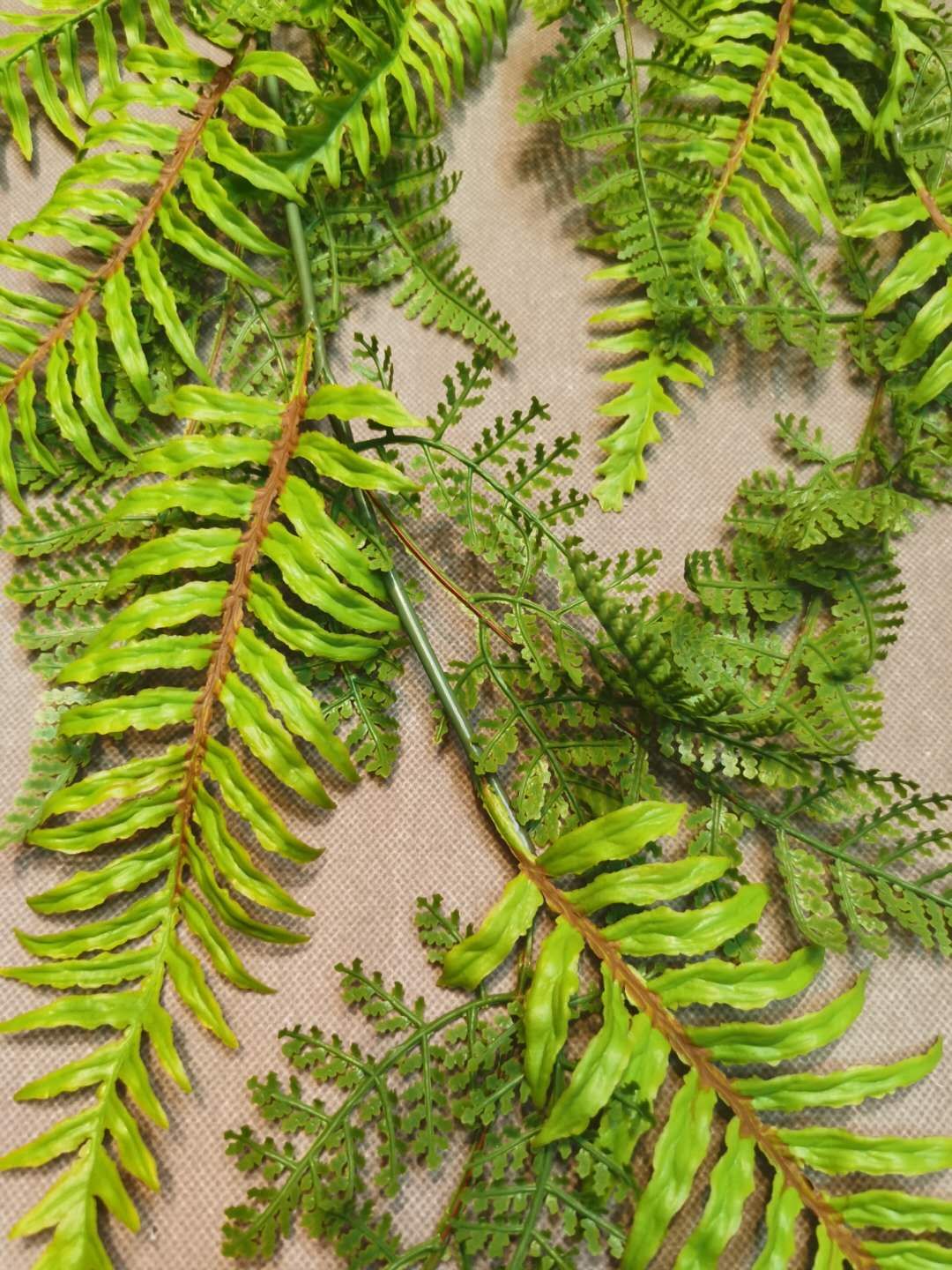 手感波斯菊挂壁 适合婚庆，装饰，家居摆放 室内外绿植工程详情图1