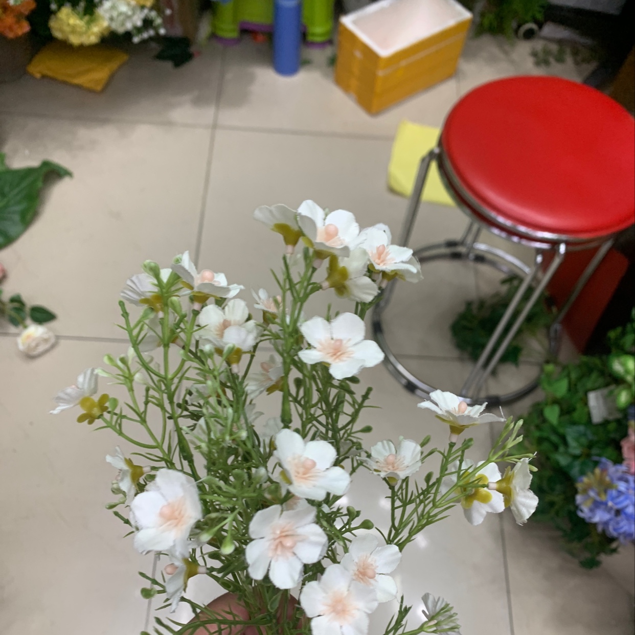 把速小花