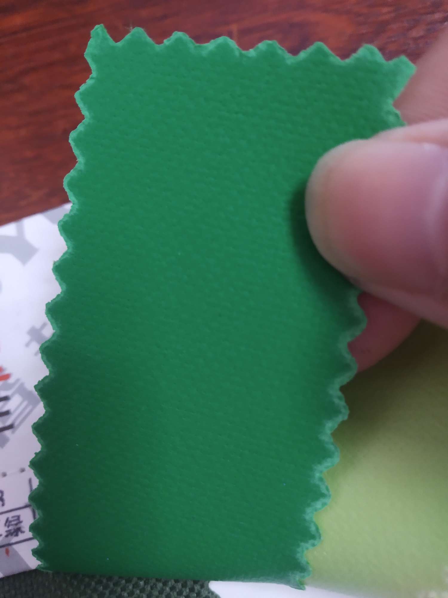 TY-- 003 600D3*4 Plain Weave 9# Grass green details Picture