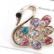 Brooch 2099