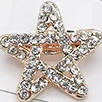 Brooch 2078