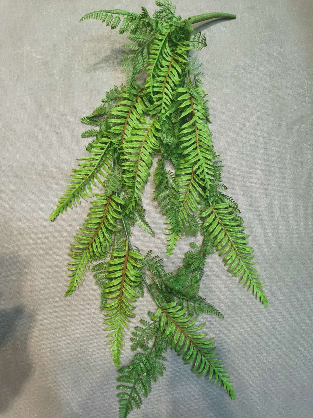 手感波斯菊挂壁 适合婚庆，装饰，家居摆放 室内外绿植工程详情图2