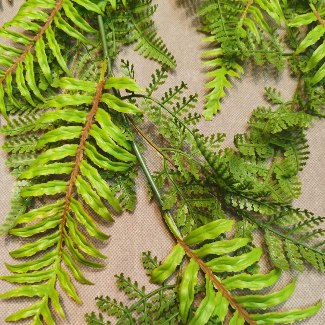 手感波斯菊挂壁 适合婚庆，装饰，家居摆放 室内外绿植工程