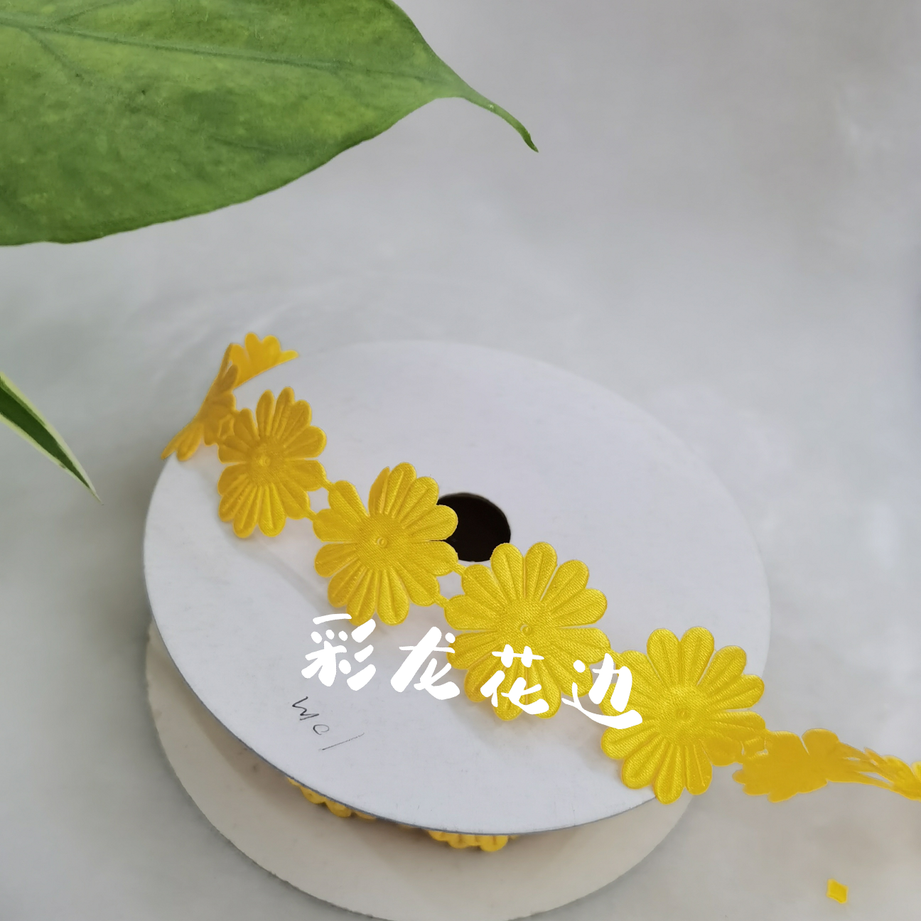 Lace, DIY, Christmas, clothing, accessories, crafts, paper, cards, hats and other factory products can be matched with Ldr