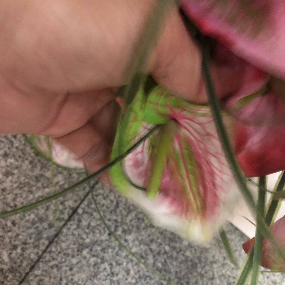 435