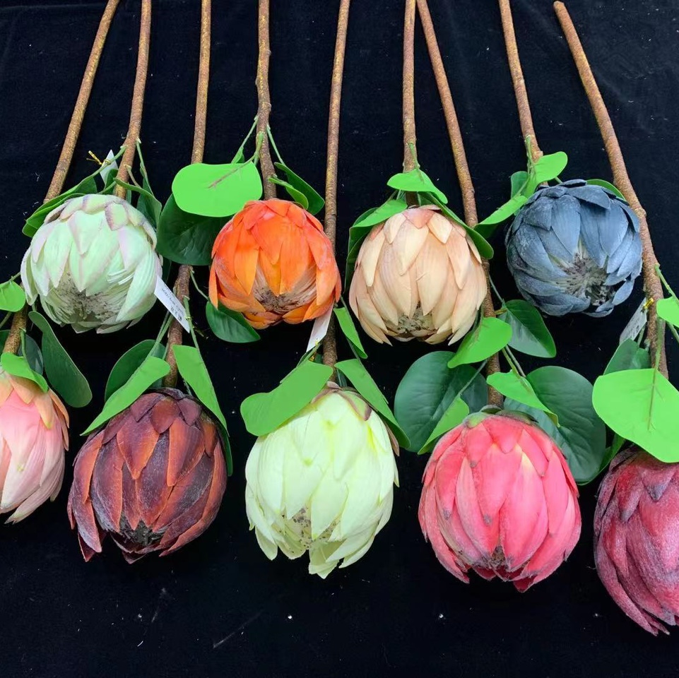 霸王花