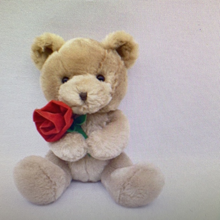 Children's toys, creative small animal plush toys, soft throw pillows, safe, non-toxic, environmentally friendly materials, comfortable and cute plush toys