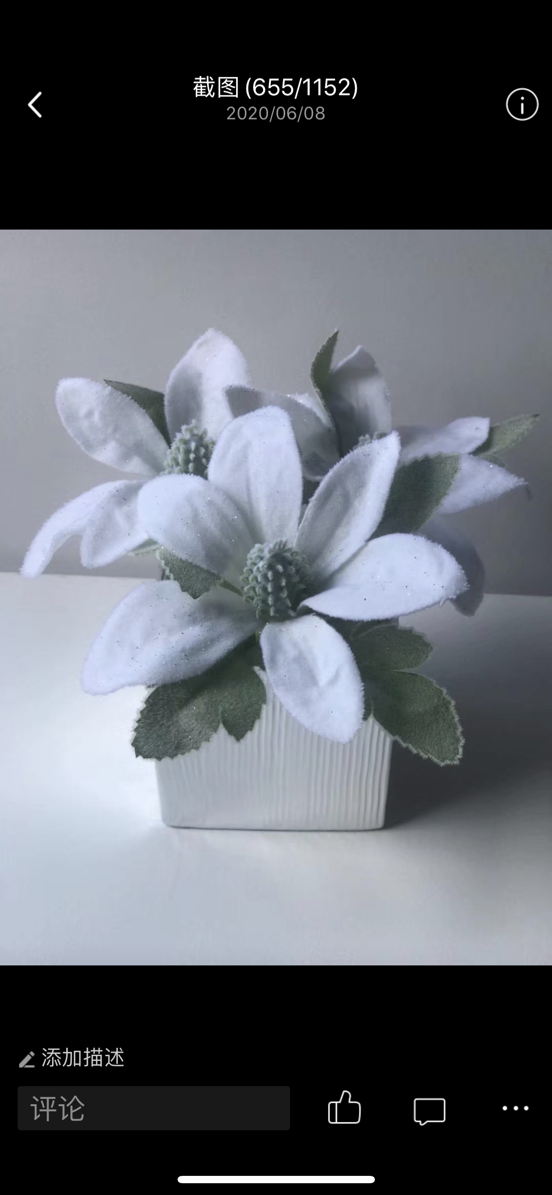 Two-color rose details Picture