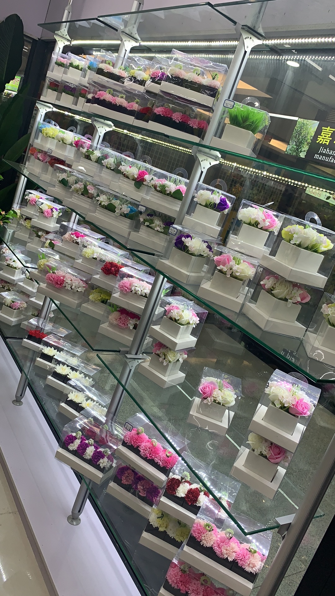 Purple moon flower details Picture