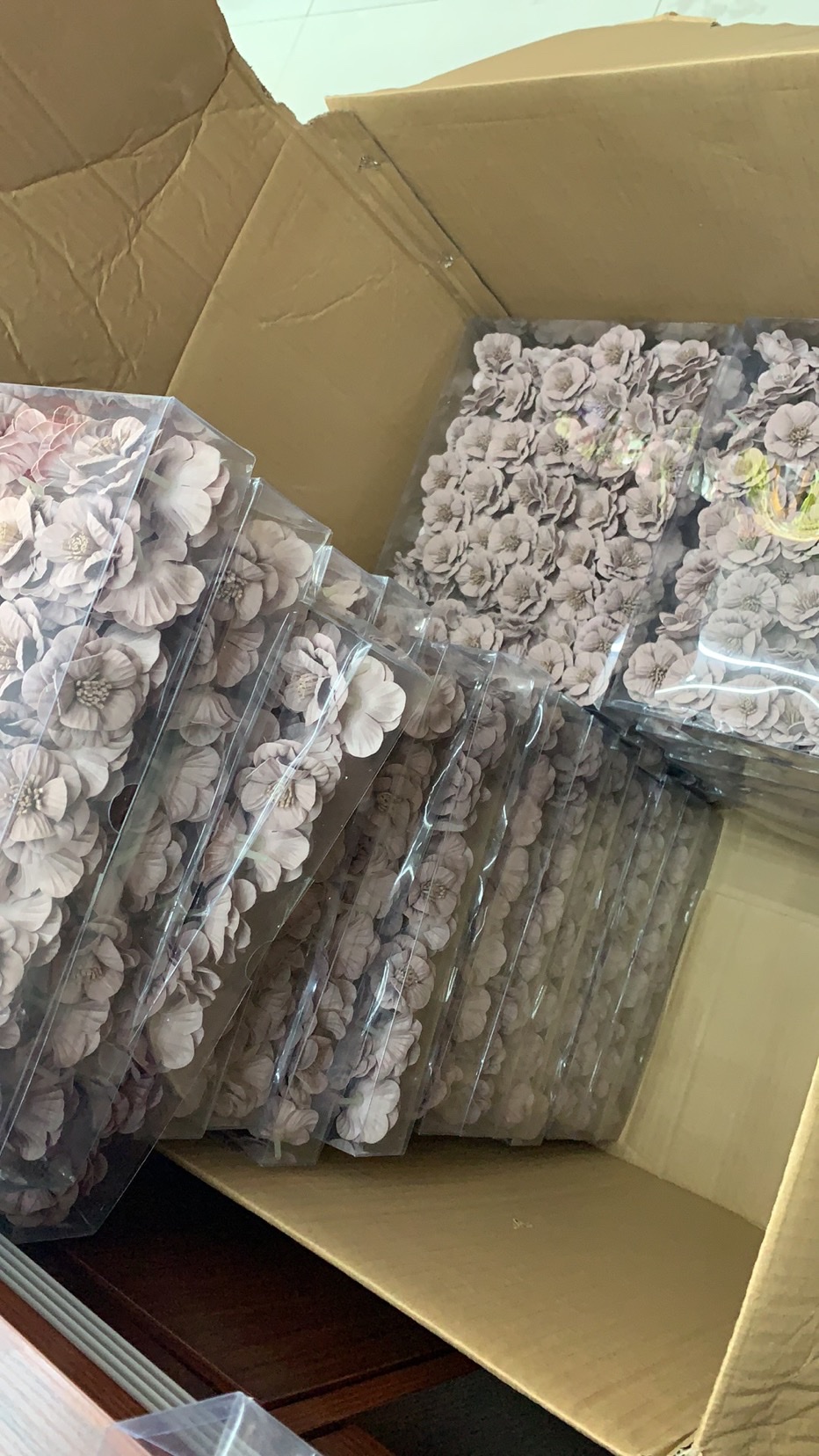 金黄叶白底实物图